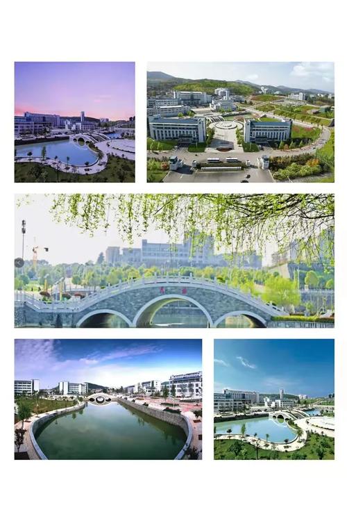 我的2019 学前教育1806 贺马丽